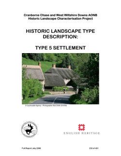 type 5 settlement - historic landscape of the AONB