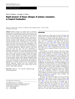 Rapid turnover of tissue nitrogen of primary consumers in tropical