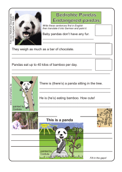 Endangered Pandas