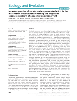 Invasion genetics of vendace