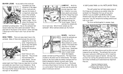 A Self-Guided Walk on the WETLANDS TRAIL