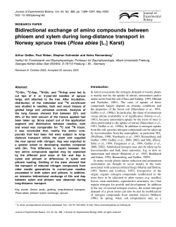 Bidirectional exchange of amino compounds between phloem and