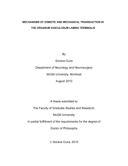Here in this well-concealed spot (hypothalamus