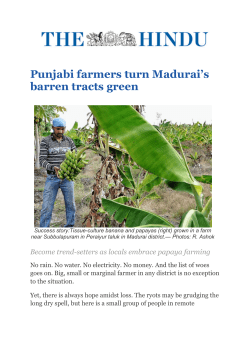 Punjabi farmers turn Madurai`s barren tracts green