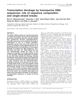 Transcription blockage by homopurine DNA