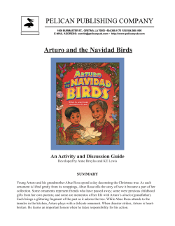 Arturo and the Navidad Birds