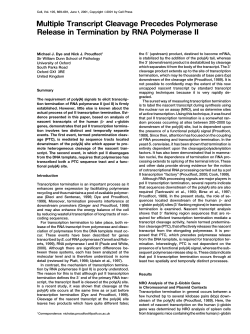 Multiple Transcript Cleavage Precedes Polymerase Release in
