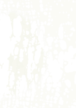 How to use these Guidelines