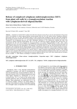 Release of complexed xyloglucan endotransglycosylase (XET) from