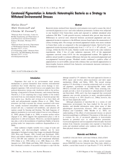 Carotenoid Pigmentation in Antarctic Heterotrophic Bacteria as a