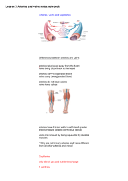 Lesson 3 Arteries and veins notes.notebook