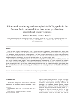 Silicate rock weathering and atmospheric/soil CO2