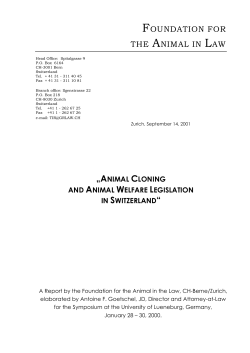foundation for the animal in law