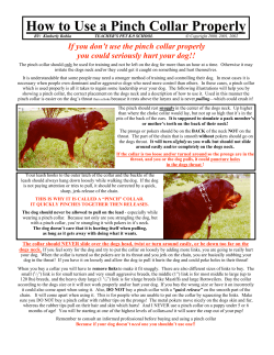 How to Use a Pinch Collar Properly