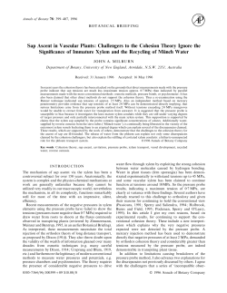 Sap Ascent in Vascular Plants: Challengers to the Cohesion