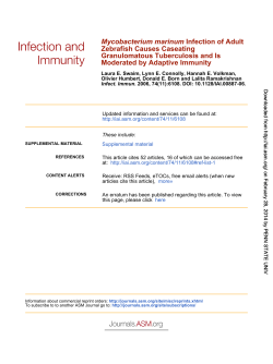 Moderated by Adaptive Immunity Granulomatous