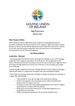 High Performance Branch Lead Main Purpose of Role: There will be