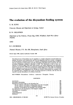 The evolution of the dicynodont feeding system
