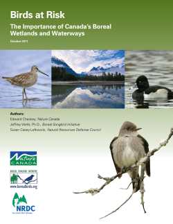 Birds at Risk: The Importance of Canada`s Boreal Wetlands and