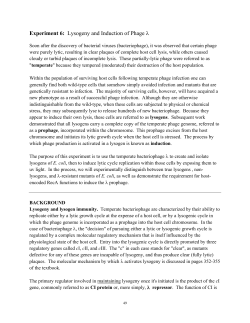 Experiment 6: Lysogeny and Induction of Phage &lambda;
