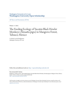 The Feeding Ecology of Yucat&aacute;n Black Howler Monkeys (Alouatta