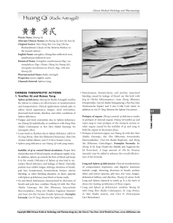 Huang Qi (Radix Astragali)