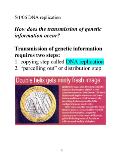 How does the transmission of genetic information occur