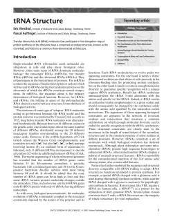 tRNA Structure