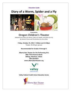 Diary of a Worm, Spider and a Fly
