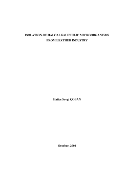 ISOLATION OF HALOALKALIPHILIC MICROORGANISMS