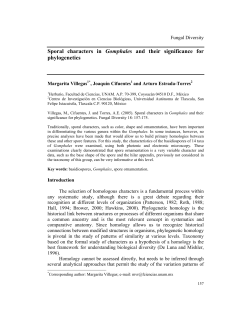 Sporal characters in Gomphales and their significance for