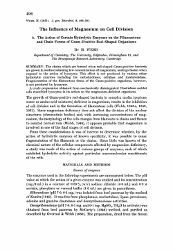 The Influence of Magnesium on Cell Division