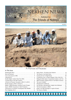 nekhen news - Hierakonpolis Online