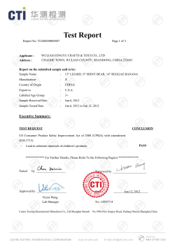 Test Report