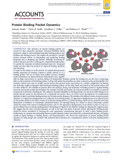 Protein Binding Pocket Dynamics