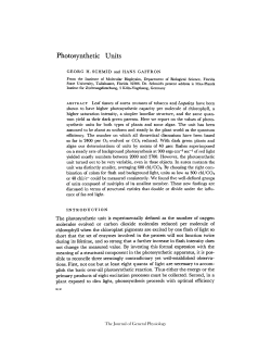 Photosynthetic Units