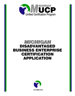 MICHIGAN DISADVANTAGED BUSINESS ENTERPRISE
