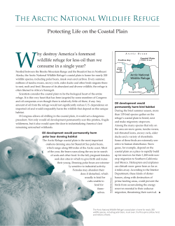 Protecting Life on the Coastal Plain