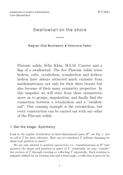 Swallowtail on the shore