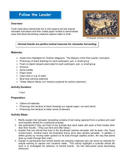 Follow the Leader - The University of Arizona Extension