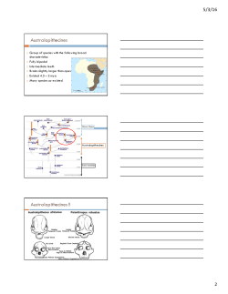 ANTH 2301 - HCC Learning Web