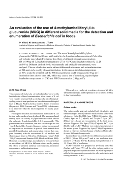 An evaluation of the use of 4‐methylumbelliferyl‐&beta;‐D‐glucuronide