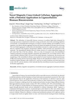 Novel Magnetic Cross-Linked Cellulase Aggregates with a Potential