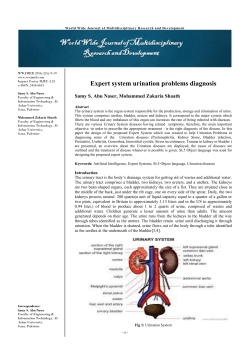 Expert system urination problems diagnosis