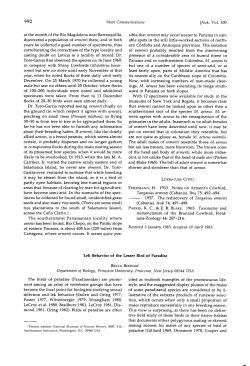 Lek Behavior of the Lesser Bird of Paradise