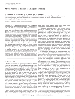 Motor Patterns in Human Walking and Running