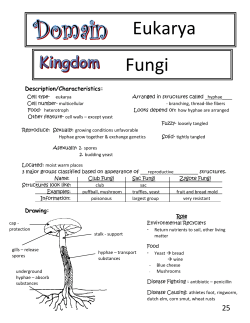 Page 25 - Fungi Domain