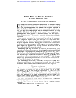 Nucleic Acids and Protein Metabolism in Acute Leukemia Cells