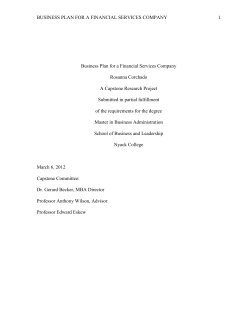 Business Plan for a Financial Services Company