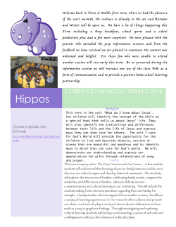 T2Curriculum notes HIppos-2-2-2 - St Joseph`s